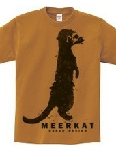 meerkat 01