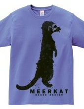 meerkat 01