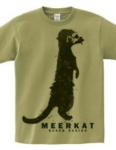 meerkat 01