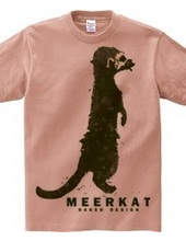 meerkat 01