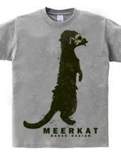 meerkat 01