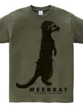 meerkat 01