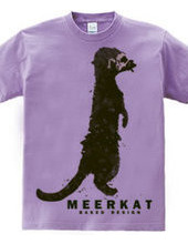 meerkat 01