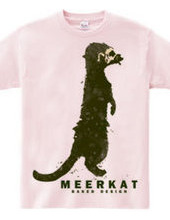 meerkat 01