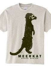 meerkat 01