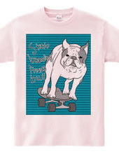 skateboarding french bulldog　青