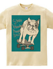 skateboarding french bulldog　青