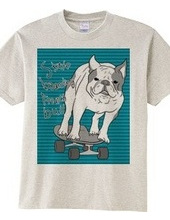 skateboarding french bulldog　青