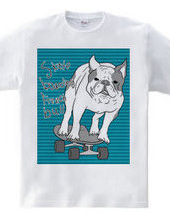 skateboarding french bulldog