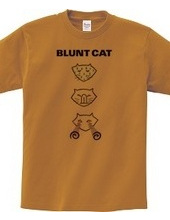 Blunt cat