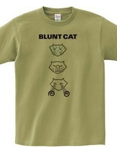 Blunt cat