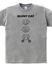 Blunt cat