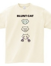 Blunt cat