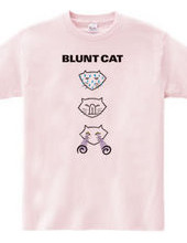 Blunt cat