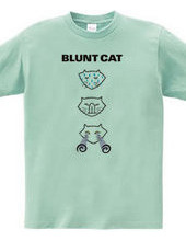 Blunt cat