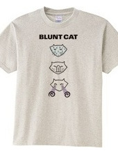 Blunt cat