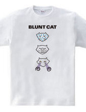 Blunt cat