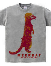 meerkat 03