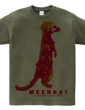 meerkat 03