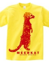 meerkat 03