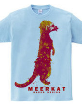 meerkat 03