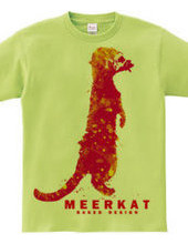 meerkat 03