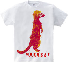 meerkat 03