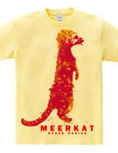 meerkat 03