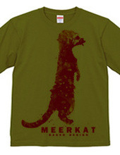 meerkat 03