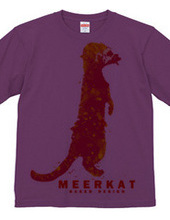 meerkat 03