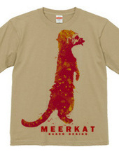 meerkat 03