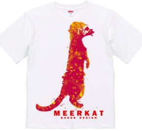 meerkat 03