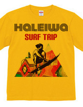 HALEIWA SURF TRIP