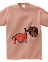 Stomach and Cat