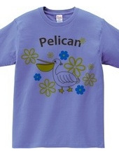 Pelican