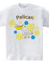 Pelican