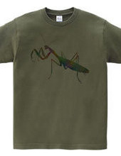 Watercolor Mantis