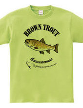 BROWN TROUT_6_C_iP