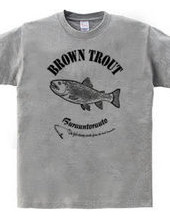 BROWN TROUT_6_K_iP