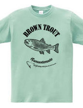 BROWN TROUT_6_K_iP