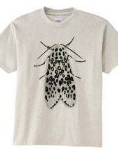 Leopard moth