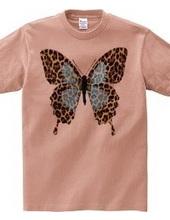 LEOPARD BUTTERFLY