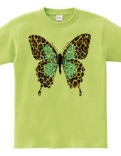 LEOPARD BUTTERFLY