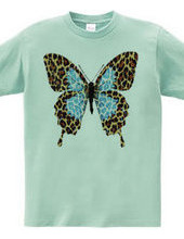 LEOPARD BUTTERFLY