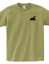 Apple Pocket