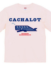 CACHALOT