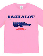 CACHALOT