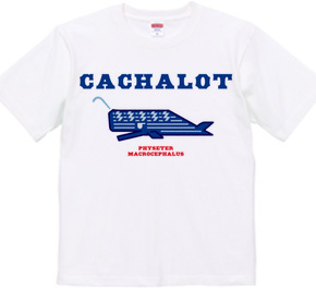 CACHALOT