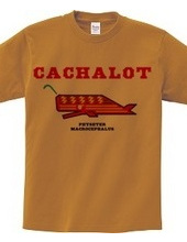 CACHALOT