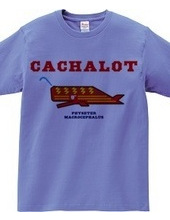 CACHALOT